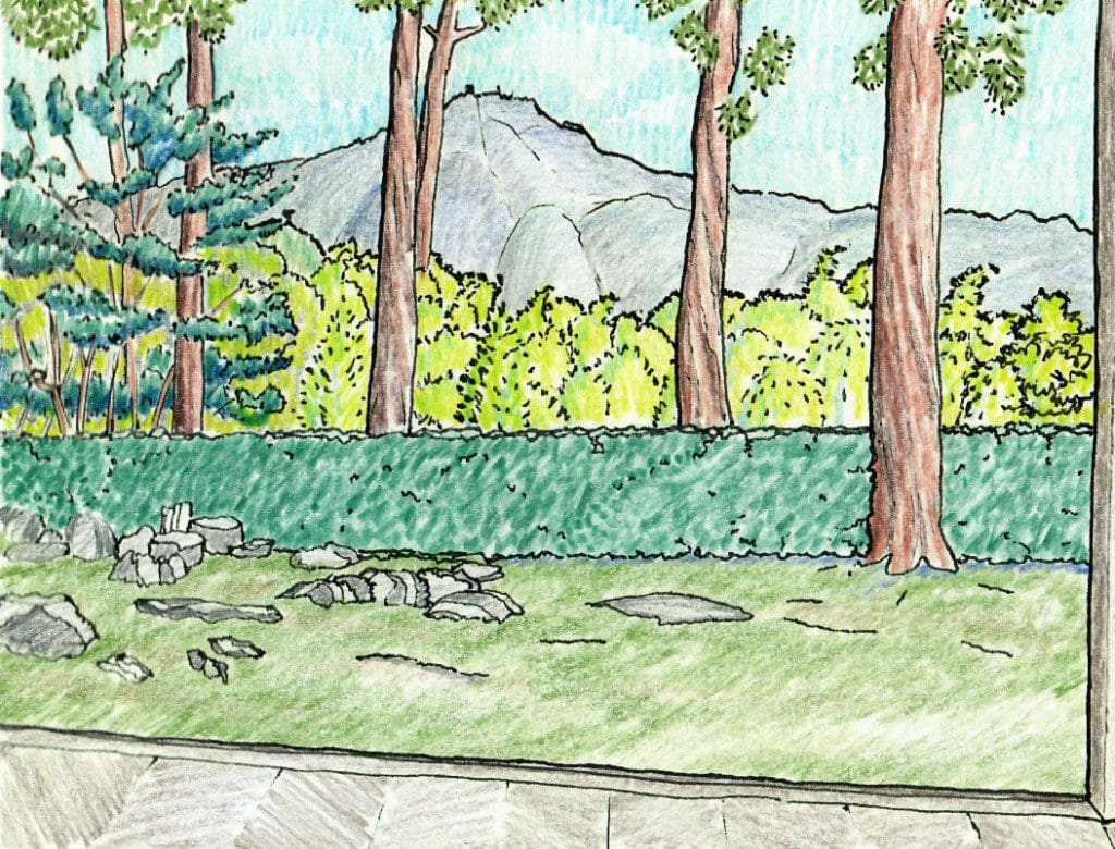 A drawing of trees and bushes in the background.